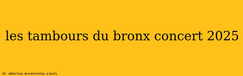 les tambours du bronx concert 2025