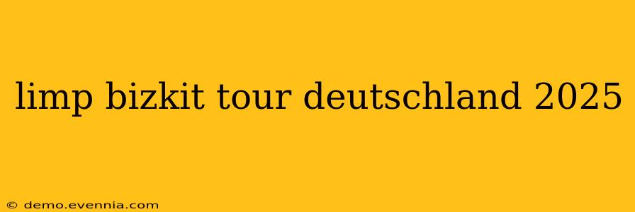 limp bizkit tour deutschland 2025