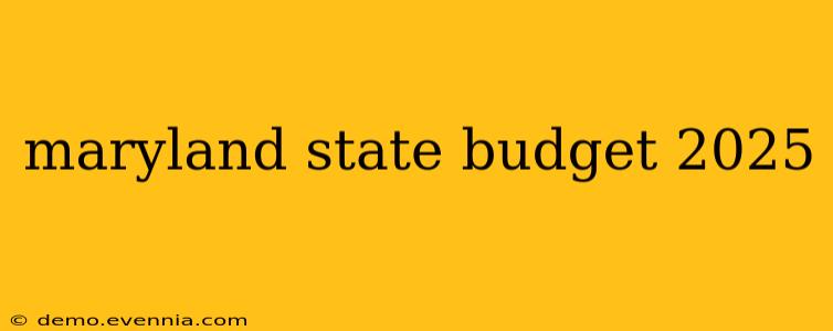 maryland state budget 2025