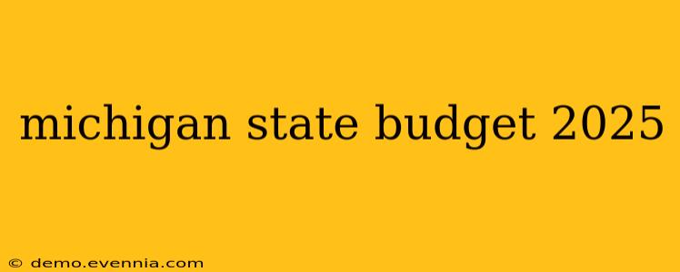 michigan state budget 2025