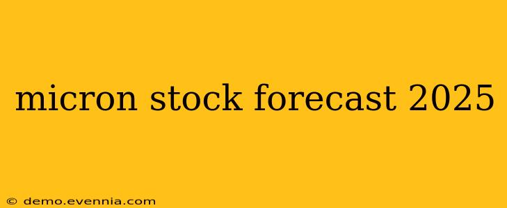 micron stock forecast 2025