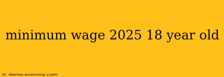 minimum wage 2025 18 year old