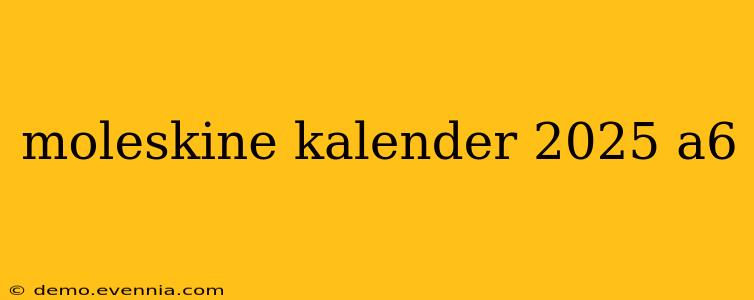 moleskine kalender 2025 a6