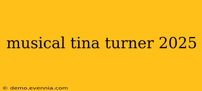 musical tina turner 2025