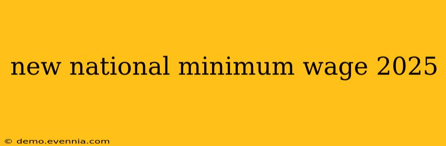 new national minimum wage 2025