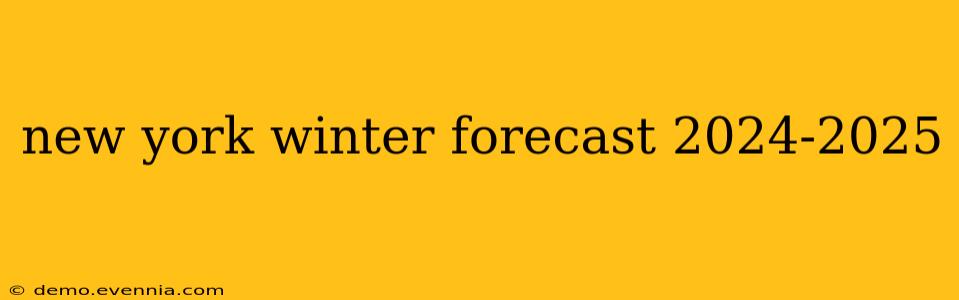 new york winter forecast 2024-2025