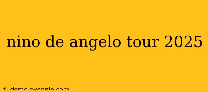 nino de angelo tour 2025