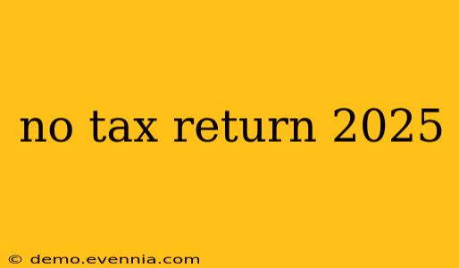 no tax return 2025