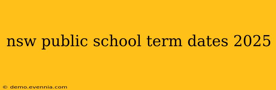 nsw public school term dates 2025