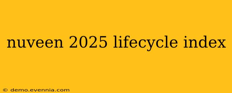 nuveen 2025 lifecycle index