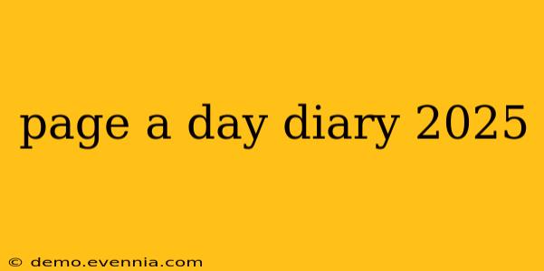 page a day diary 2025