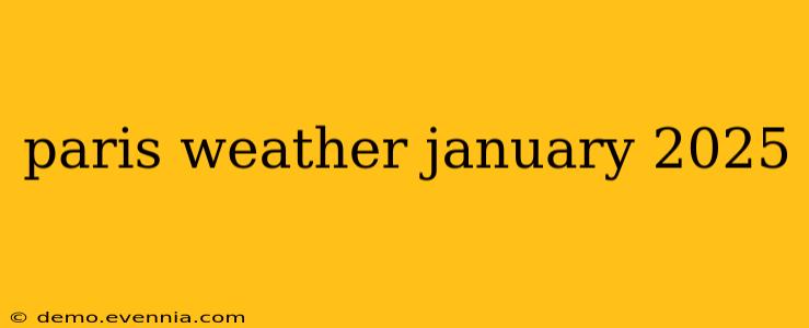 paris weather january 2025