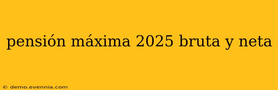 pensión máxima 2025 bruta y neta