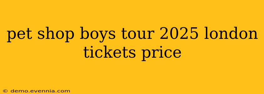 pet shop boys tour 2025 london tickets price