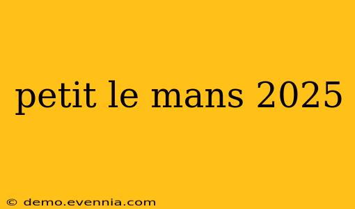 petit le mans 2025