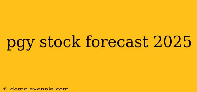 pgy stock forecast 2025