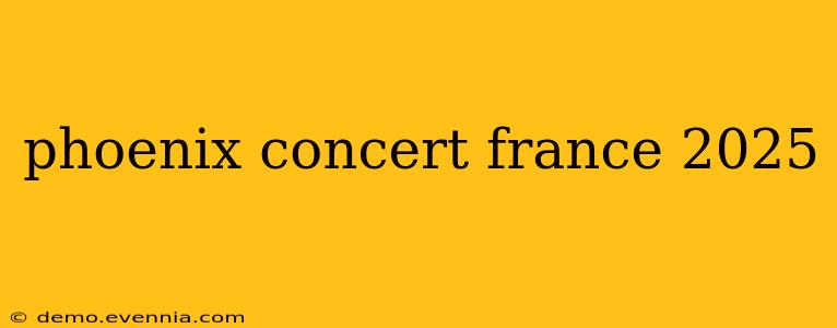 phoenix concert france 2025