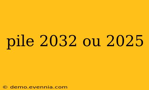 pile 2032 ou 2025