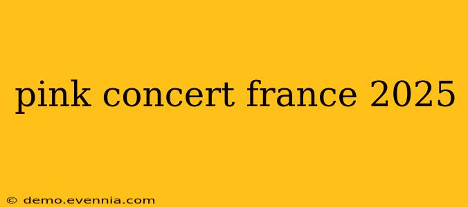 pink concert france 2025