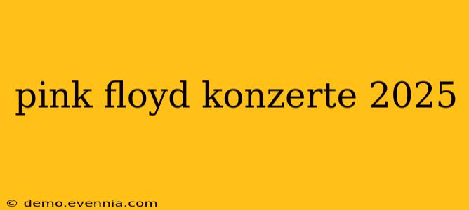 pink floyd konzerte 2025