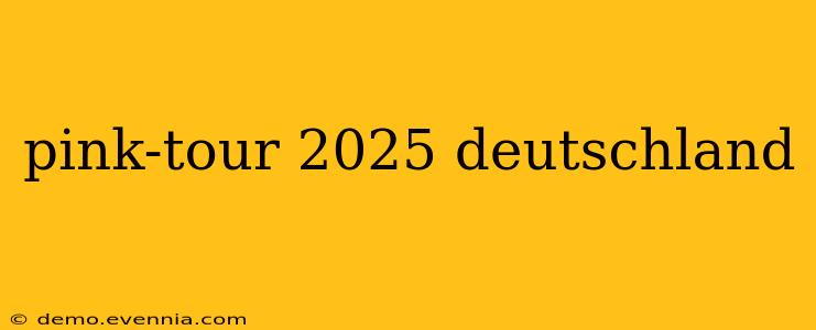 pink-tour 2025 deutschland