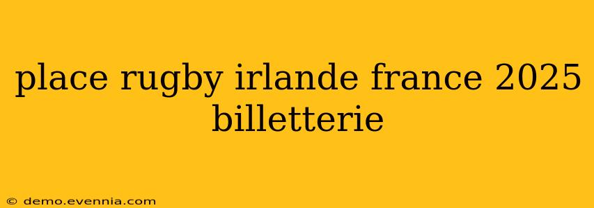 place rugby irlande france 2025 billetterie