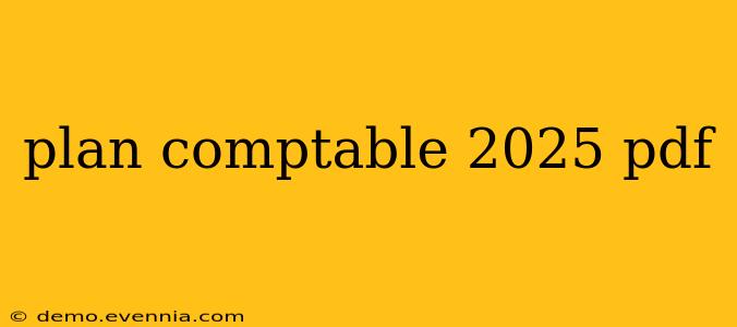 plan comptable 2025 pdf