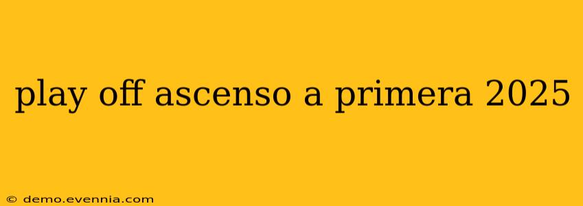 play off ascenso a primera 2025