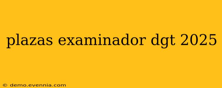 plazas examinador dgt 2025