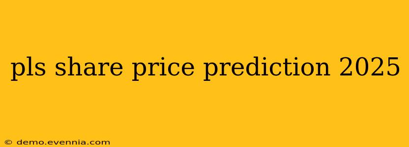 pls share price prediction 2025