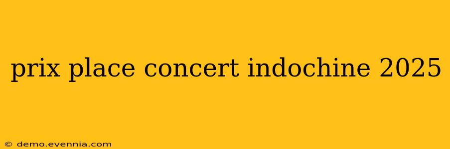 prix place concert indochine 2025