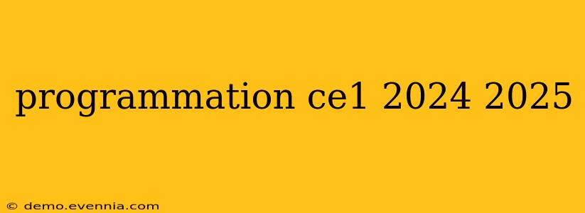 programmation ce1 2024 2025