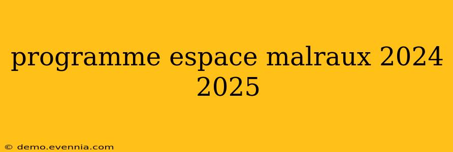 programme espace malraux 2024 2025