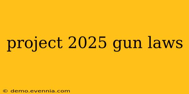 project 2025 gun laws