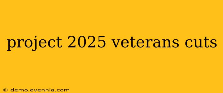 project 2025 veterans cuts