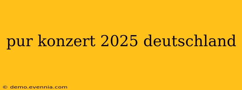 pur konzert 2025 deutschland