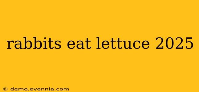 rabbits eat lettuce 2025