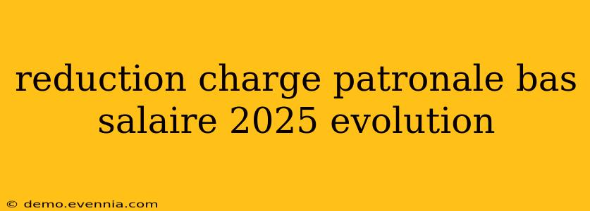 reduction charge patronale bas salaire 2025 evolution