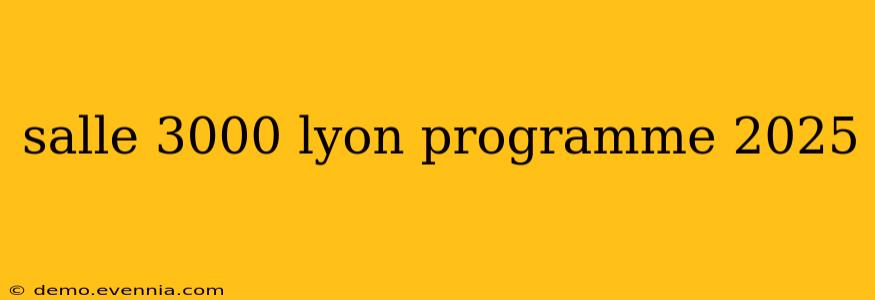 salle 3000 lyon programme 2025