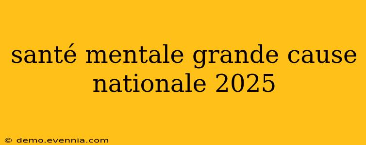 santé mentale grande cause nationale 2025