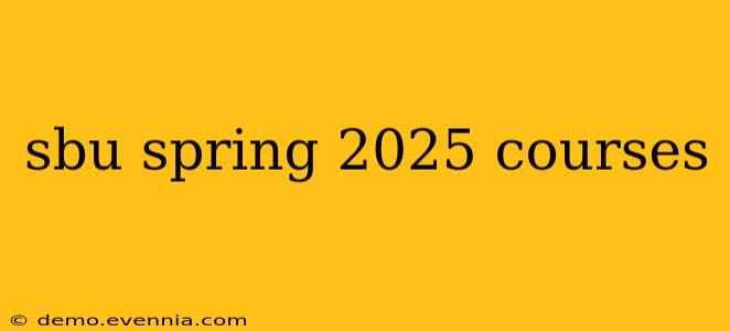 sbu spring 2025 courses