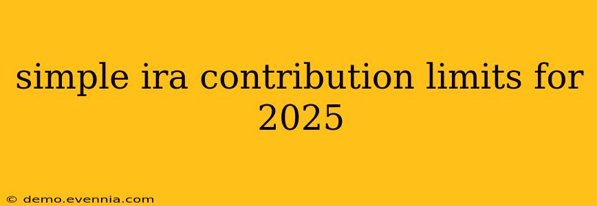 simple ira contribution limits for 2025