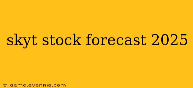 skyt stock forecast 2025