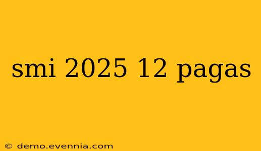 smi 2025 12 pagas