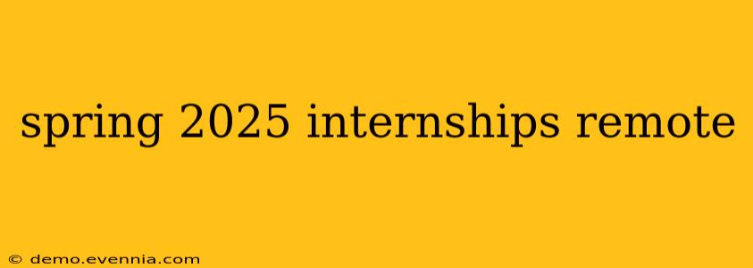 spring 2025 internships remote