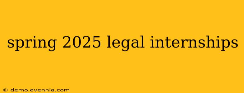 spring 2025 legal internships