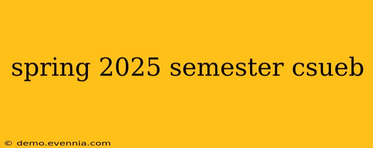 spring 2025 semester csueb