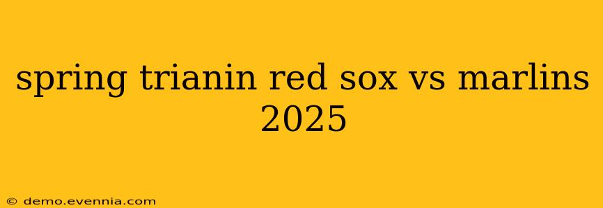 spring trianin red sox vs marlins 2025