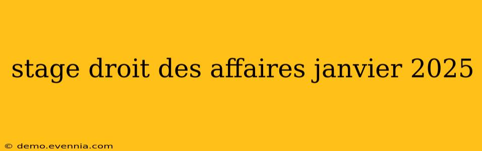 stage droit des affaires janvier 2025