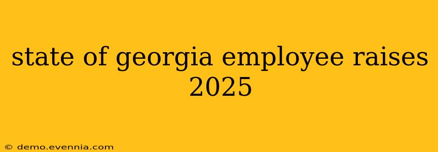 state of georgia employee raises 2025